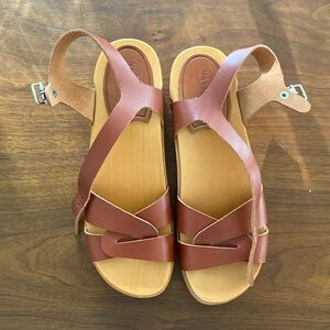 hasbeens clog sandals - maroon